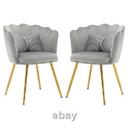 2pcs Velvet Dining Chairs Armchair Upholstered Accent Chair Gold Metal Legs DB