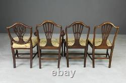 4 Hepplewhite Style Mahogany Yellow Floral Upholstered Dining Chairs