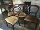4 Victorian Style Balloon Back Dining Chairs With Ochre / Gold Upholstered Seats