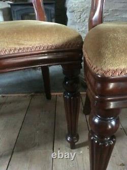 4 Victorian style balloon back dining chairs with ochre / gold upholstered seats