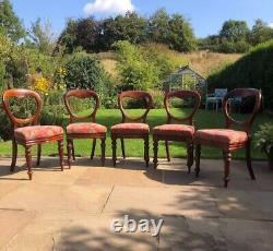 5 Victorian balloon back chairs good condition, traditionally reupholstered