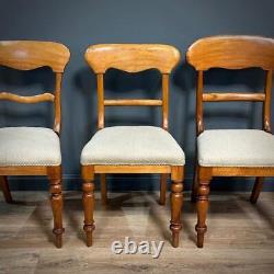 Large Harlequin Set Of Twelve Antique Satinbirch Dining Chairs Newly Upholstered