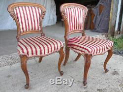 Pair of 19c Oak Balloon Back Upholstered Dining Chairs Scroll Carving (511)