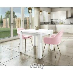 Pink Velvet Tub Chairs with Gold Legs Set of 2 Logan LOG001